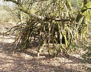 Guest house 0668102 - Holiday property Liege - Vakantiehuis in Ottr