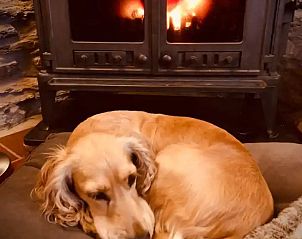 Unterkunft 0668903 - Ferienhaus Lüttich - 2 pers Petit Gite Ardennen