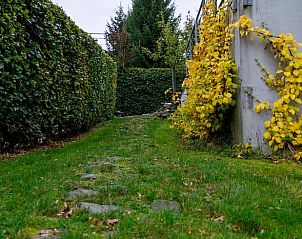 Verblijf 067802 - Vakantiewoning Ardennen (Luik) - Vakantiehuis in Küchelscheid