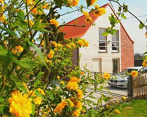 Guest house 072810 • Holiday property Hainaut • Vakantiehuisje in Elzele 