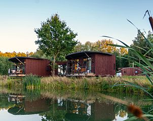 Unterkunft 0735602 - Bungalow Hennegau - 6-persoons The Leaf | 6B1
