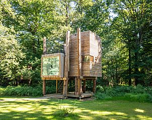 Unterkunft 0735607 - Bungalow Hennegau - 2-4 persoons The Treeloft | 2-4TH