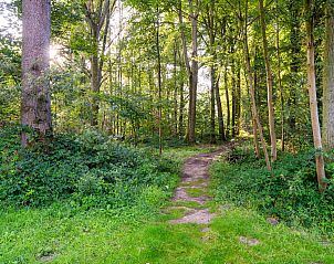 Unterkunft 07356102 - Chalet Hennegau - The Lodge by YourNature