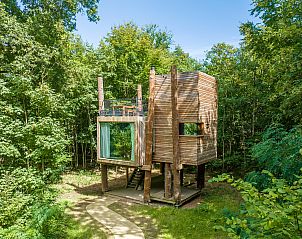 Guest house 0735610 - Bungalow Hainaut - 2-4 persoons The Treeloft | 2-4TH