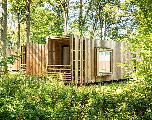 Guest house 0735615 - Bungalow Hainaut - 2-persoons The Blue Lodge | 2B1