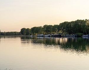 Guest house 07356185 - Bungalow Hainaut - The Leaf by YourNature