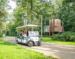 Unterkunft 0735645 - Ferienhaus Hennegau - The Lake House by YourNature