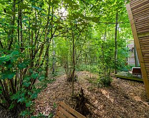 Verblijf 0735660 - Chalet Henegouwen - The Cottage by YourNature