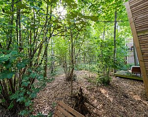 Unterkunft 0735666 - Chalet Hennegau - The Cottage by YourNature