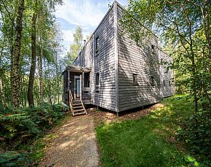 Unterkunft 0735667 - Ferienhaus Hennegau - The Lake House by YourNature