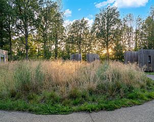 Unterkunft 0735693 - Chalet Hennegau - The Lodge by YourNature