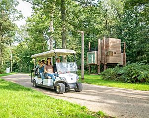 Unterkunft 0735693 - Chalet Hennegau - The Lodge by YourNature