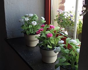 Unterkunft 0743803 - Ferienhaus Hennegau - Vakantiehuis in Leuze en Hainaut