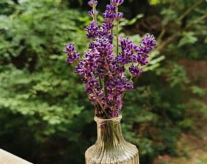 Guest house 0810405 - Holiday property Namur - Vakantiehuisje in Profondeville