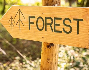 Unterkunft 0810406 - Ferienhaus Namur - Vakantiehuisje in Profondeville