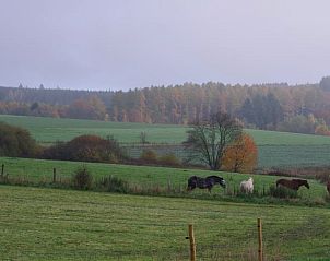 Verblijf 081404 - Vakantiewoning Ardennen (Namen) - Huisje in Gedinne