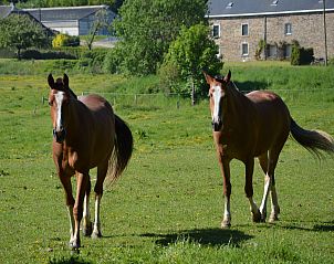Guest house 0814805 - Holiday property Namur - Le Bouton d'Or