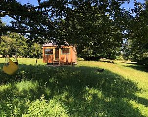 Verblijf 081715 - Vakantiewoning Ardennen (Namen) - Huisje in Bievre