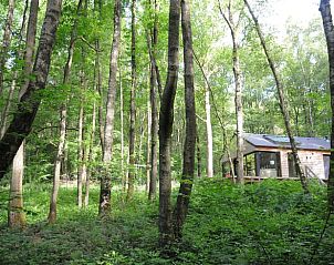 Guest house 0819704 • Holiday property Namur • Vakantiehuis in OIGNIES 