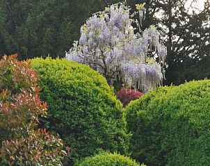 Guest house 082008 - Holiday property Namur - Vakantiehuis f�r 8 Personen