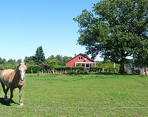 Verblijf 0821606 - Vakantiewoning Ardennen (Namen) - Vakantiehuis in Rienne (Gedinne)