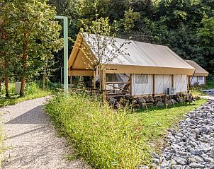 Guest house 082950 - Holiday property Namur - 4-6-persoons safaritent | 4-6ST