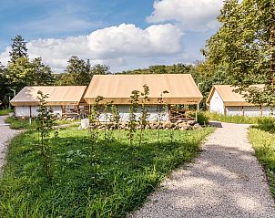 Guest house 082950 - Holiday property Namur - 4-6-persoons safaritent | 4-6ST