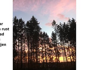 Verblijf 083323 - Vakantiewoning Ardennen (Namen) - Vakantiehuis in Vresse-Sur-Semois