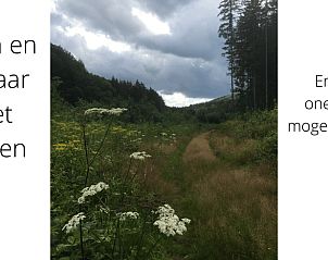 Verblijf 083323 - Vakantiewoning Ardennen (Namen) - Vakantiehuis in Vresse-Sur-Semois