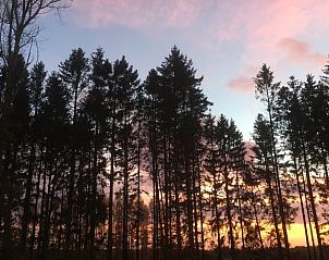 Verblijf 083323 - Vakantiewoning Ardennen (Namen) - Vakantiehuis in Vresse-Sur-Semois