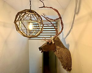 Guest house 0836005 - Holiday property Namur - L�ora Cosy