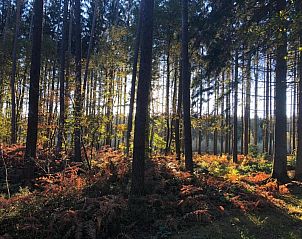 Verblijf 083909 - Vakantiewoning Ardennen (Namen) - Les Trois Feuilles