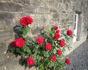 Guest house 0846206 - Chalet Namur - La Cath�drale