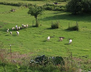 Verblijf 0846801 - Vakantiewoning Ardennen (Namen) - Le Gîte Mariette