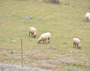 Verblijf 0846801 - Vakantiewoning Ardennen (Namen) - Le Gîte Mariette