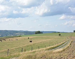 Verblijf 0846801 - Vakantiewoning Ardennen (Namen) - Le Gîte Mariette