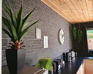 Modern kitchen with plants in Gite Entre Roches et Nature, vacation home in Dinant, Ardennes, Belgium.