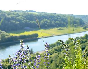 Verblijf 086111 - Bungalow Ardennen (Namen) - Het retro huisje