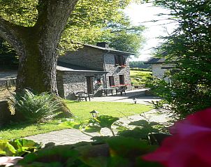 Verblijf 086601 - Chalet Ardennen (Namen) - La Bergerie