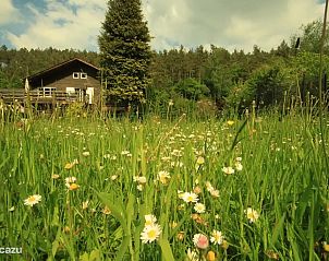 Verblijf 087507 - Vakantiewoning Ardennen (Namen) - Villa Vencimont