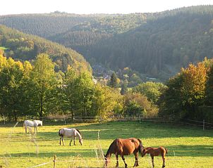 Unterkunft 087510 - Ferienhaus Namur - Chalet de la Vallée