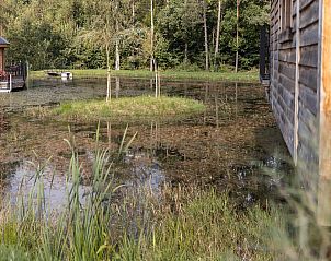Unterkunft 087518 - Ferienhaus Namur - Cabane Take it Slowly
