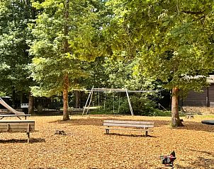 Unterkunft 089313 - Ferienhaus Namur - Huisje in Oignies-en-Thiérache