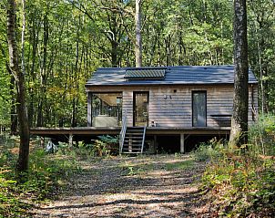 Unterkunft 089358 - Ferienhaus Namur - «Droles d'écureuil»