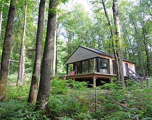 Unterkunft 089358 - Ferienhaus Namur - «Droles d'écureuil»