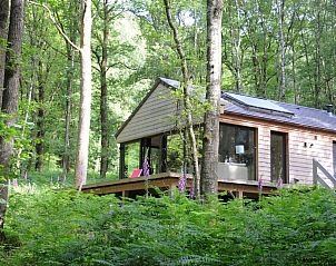Unterkunft 089358 - Ferienhaus Namur - «Droles d'écureuil»