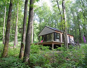 Unterkunft 089363 - Ferienhaus Namur - Droles d'écureuil