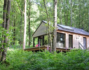 Unterkunft 089363 - Ferienhaus Namur - Droles d'écureuil