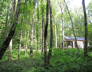 Unterkunft 089363 - Ferienhaus Namur - Droles d'écureuil