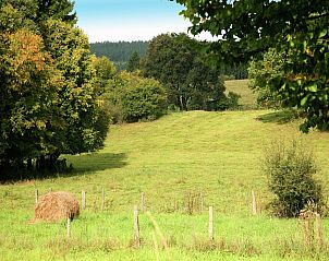Unterkunft 089363 - Ferienhaus Namur - Droles d'écureuil
